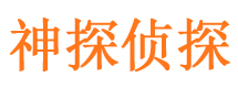 平武私家侦探公司